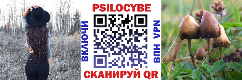 хочу   Бугульма  Галлюциногенные грибы Psilocybine cubensis 