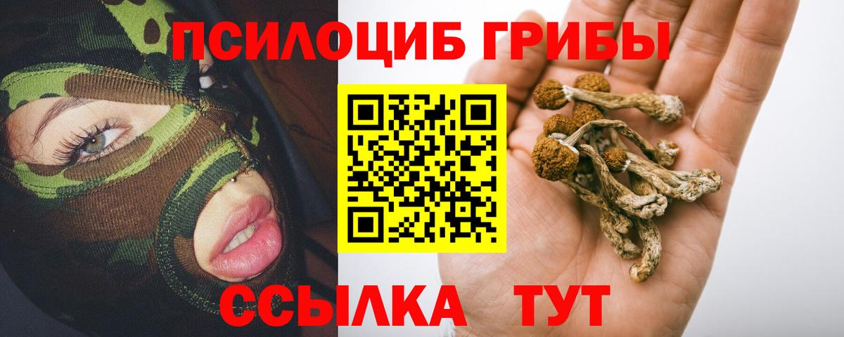 Галлюциногенные грибы MAGIC MUSHROOMS Бугульма